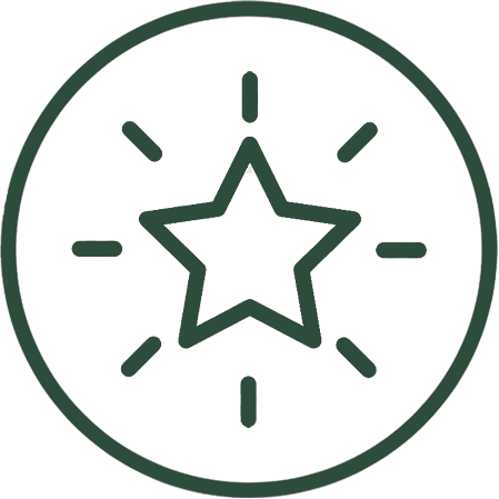 big-icon